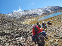 WhatsApp Image 2024-09-18 at 15.18.0.jpeg